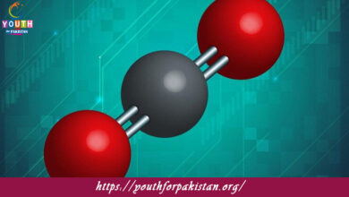 Metal-Carbon Bonds Quiz