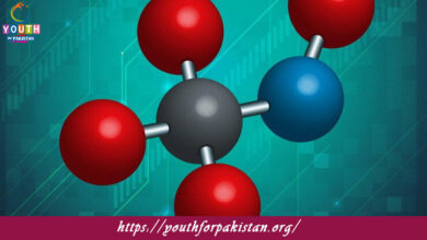 Metal Ion Transport Quiz