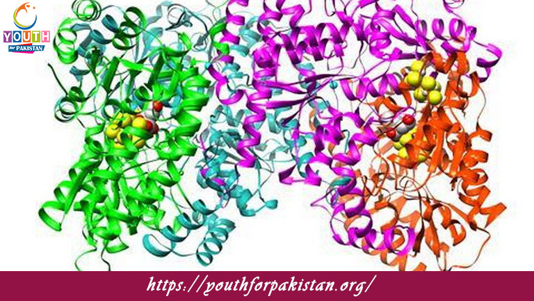 Metalloenzymes Quiz