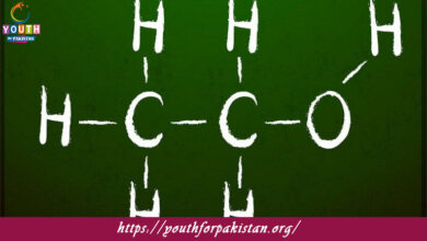 Reaction Mechanisms Quiz