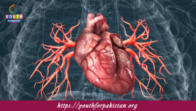 Cardiovascular System (Including Human Heart Structure, Blood Vessels) MDCAT Quiz