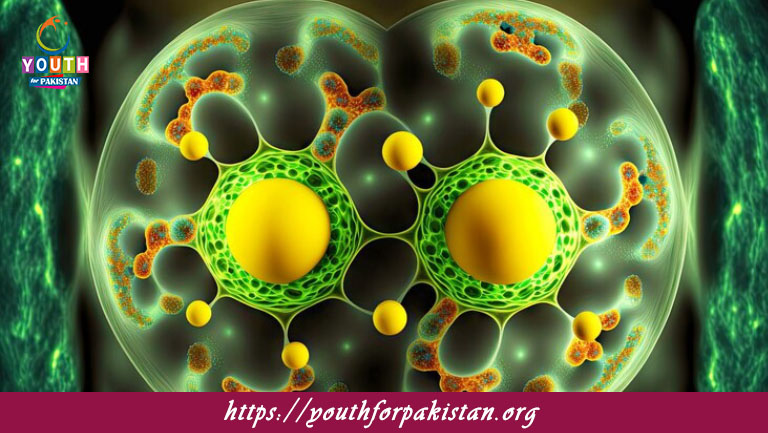 Cellular Structure Of Bacteria MDCAT Quiz