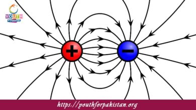 Electric Field And Its Intensity MDCAT Quiz