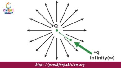 Electric Potential MDCAT Quiz