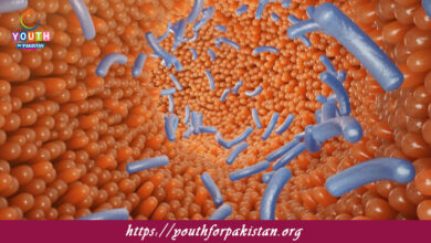 Factors Effecting Rate Of Enzyme Action MDCAT Quiz