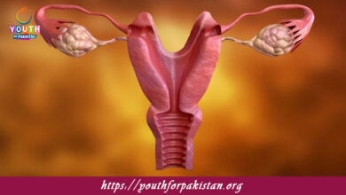 Female Reproductive System (Including Menstrual Cycle) MDCAT Quiz