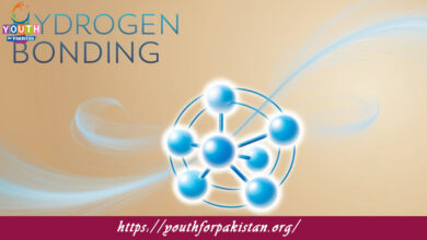 Hydrogen Bonding MDCAT Quiz