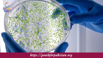 Importance And Control Of Bacteria MDCAT Quiz