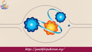 Ionic Character Of Covalent Bond MDCAT Quiz