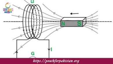 Lenz’s Law And Conservation Of Energy MDCAT Quiz