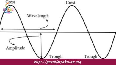 Longitudinal Periodic Waves MDCAT Quiz