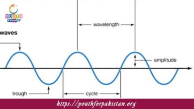 Longitudinal Waves MDCAT Quiz