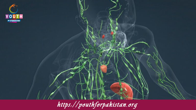 Lymphatic System MDCAT Quiz