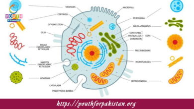 Lysosomes MDCAT Quiz