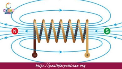 Magnetic Flux MDCAT Quiz