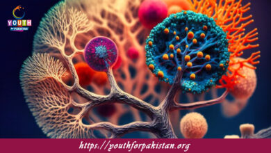 Mechanism Of Action Of Enzymes MDCAT Quiz