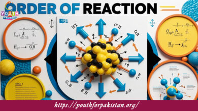 Order Of Reaction And Its Determination MDCAT Quiz