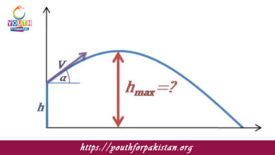 Projectile Motion Maximum Height MDCAT Quiz