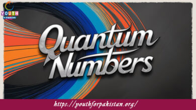 Quantum Numbers MDCAT Quiz