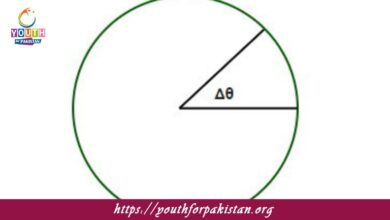 Relation Between Linear And Angular Variables MDCAT Quiz