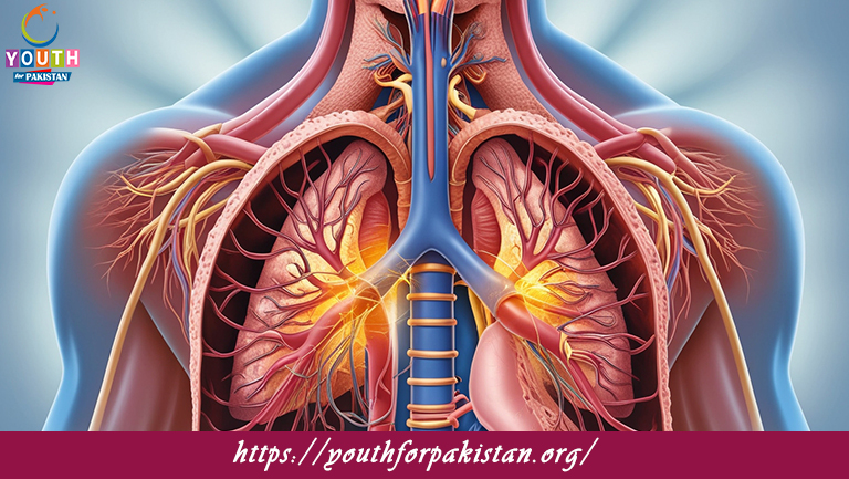 Respiratory System MDCAT Quiz