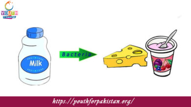 Reversible And Irreversible Reactions MDCAT Quiz