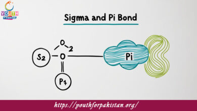 Sigma And Pi Bond MDCAT Quiz