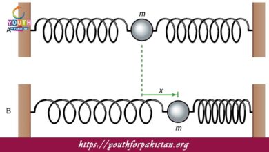 Simple Harmonic Motion MDCAT Quiz