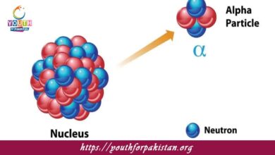 Spontaneous And Random Nuclear Decay MDCAT Quiz