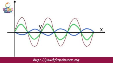 Stationary Waves MDCAT Quiz