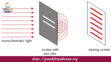 The Particle Model Of Light MDCAT Quiz