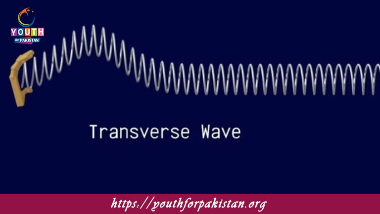 Transverse Waves MDCAT Quiz