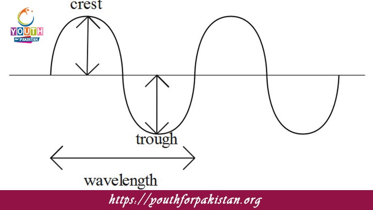 Trough MDCAT Quiz