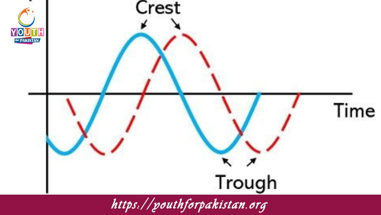 Types Of Progressive Waves MDCAT Quiz