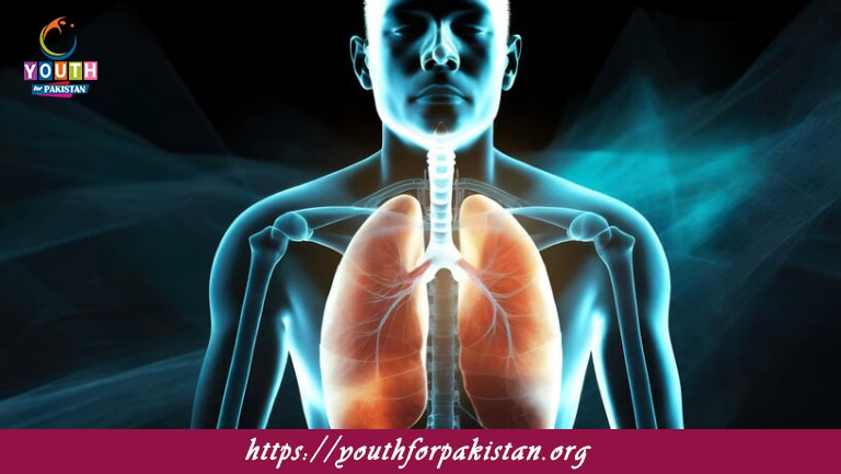 Respiratory System and Breathing MCQs