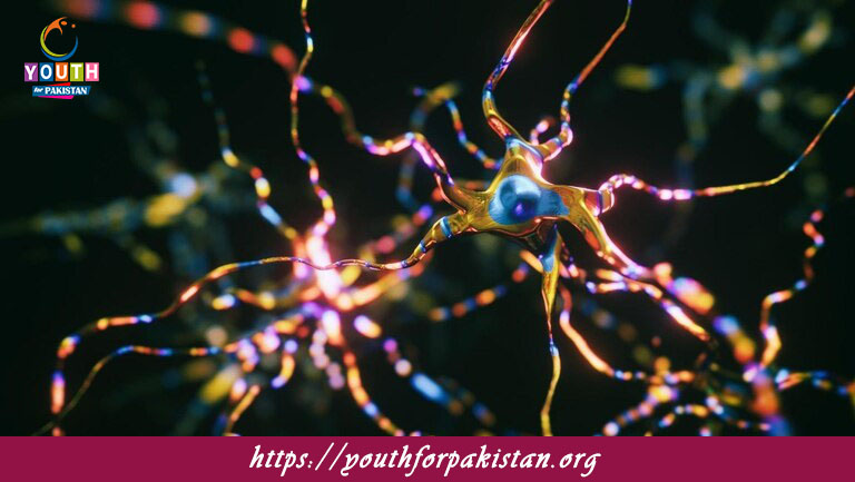 Electrical Synapses MDCAT MCQs