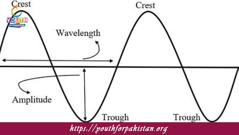 Longitudinal Periodic Waves MDCAT MCQs