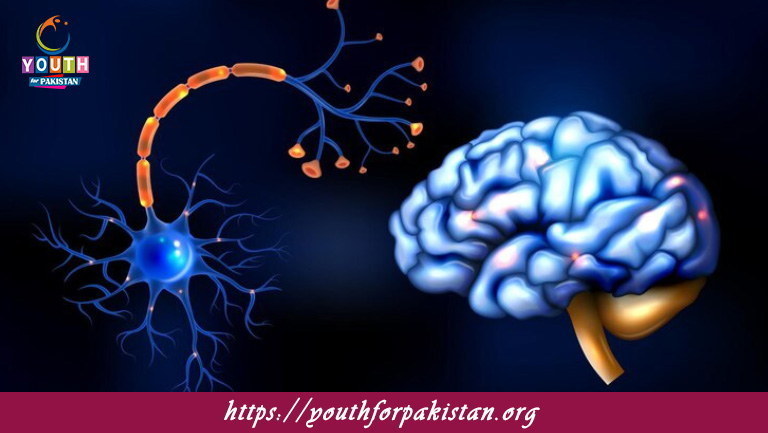 Nerve Impulse MDCAT MCQs