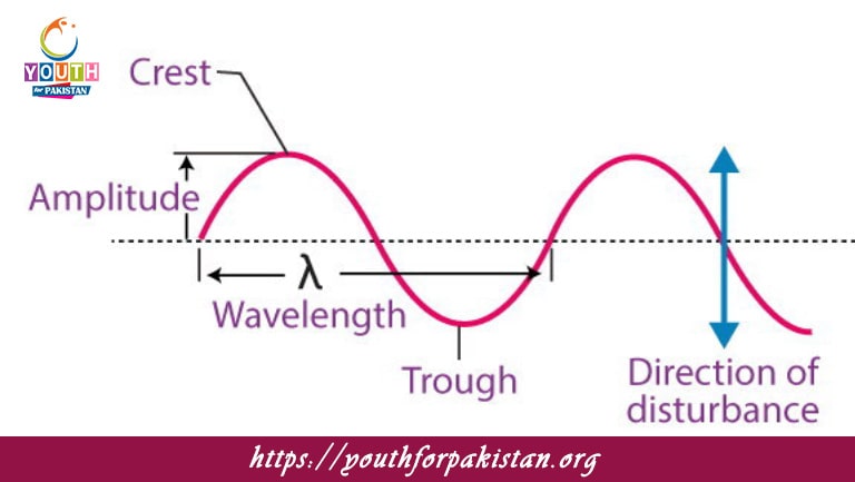 Transverse Periodic Waves MDCAT MCQs