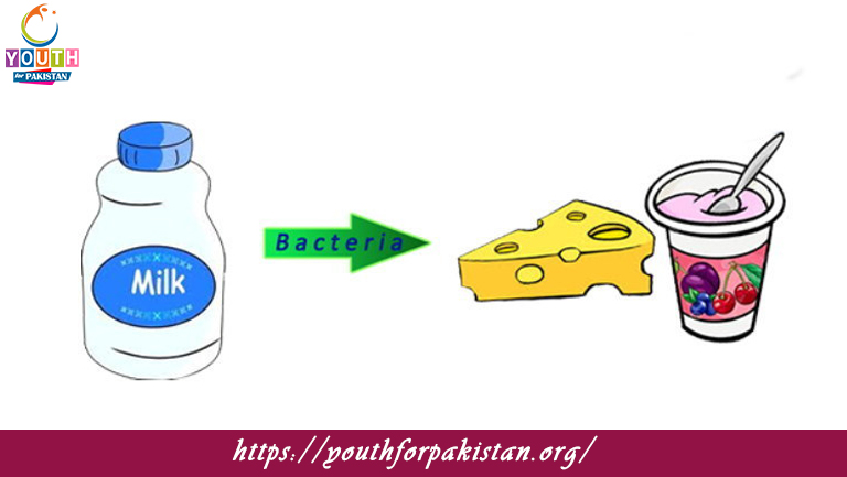 Reversible And Irreversible Reactions MDCAT MCQs